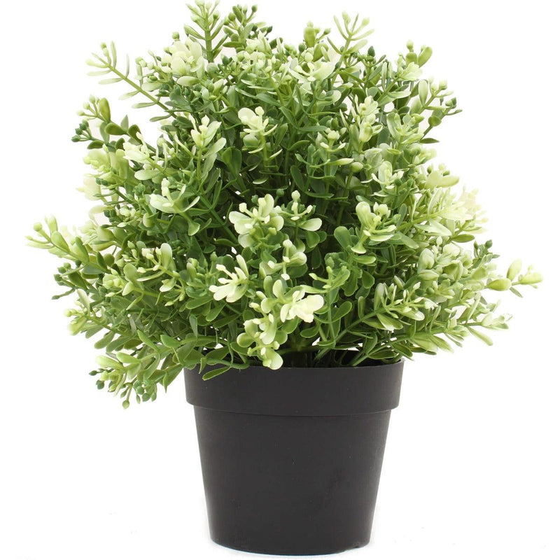 Small Potted Artificial White Jade Plant UV Resistant 20cm - John Cootes