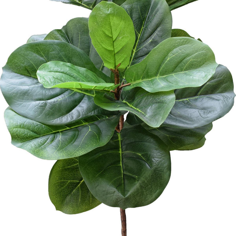 Tall Artificial Fiddle Leaf Fig 170cm - John Cootes