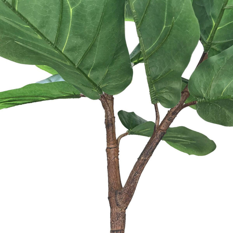 Tall Artificial Fiddle Leaf Fig 170cm - John Cootes