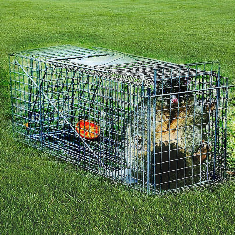 Trap Humane Possum Cage Live Animal Safe Catch Rabbit Cat Hare Fox Bird - John Cootes