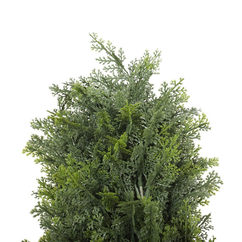 UV Resistant Cypress Pine Tree 1.8m - John Cootes