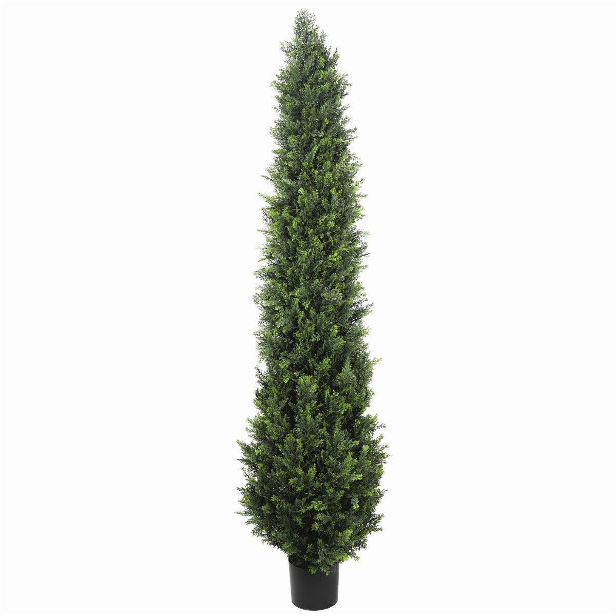 UV Resistant Cypress Pine Tree 2.1m - John Cootes