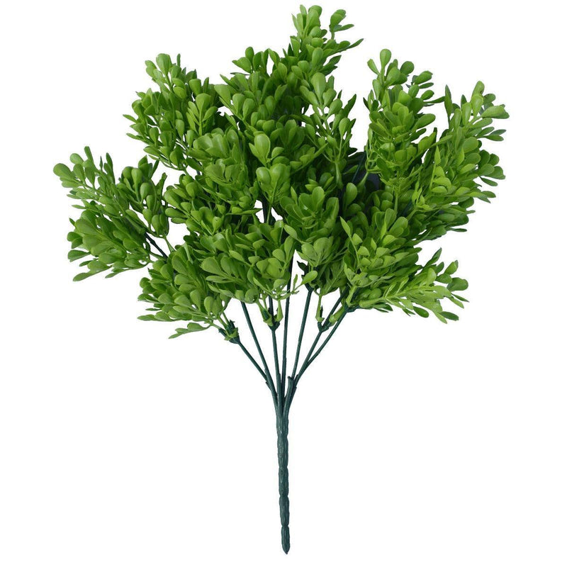 Vivid Green Wide Eucalypts Plant 32cm UV Resistant - John Cootes
