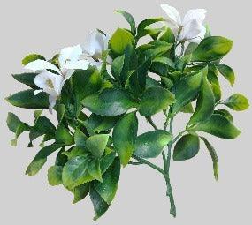 White Flowering Jasmine Stem UV Resistant 30cm - John Cootes