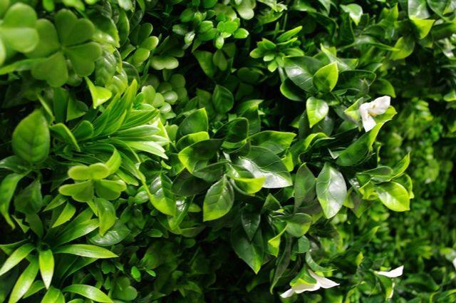 White Oasis Vertical Garden / Green Wall UV Resistant 1m x 1m - John Cootes