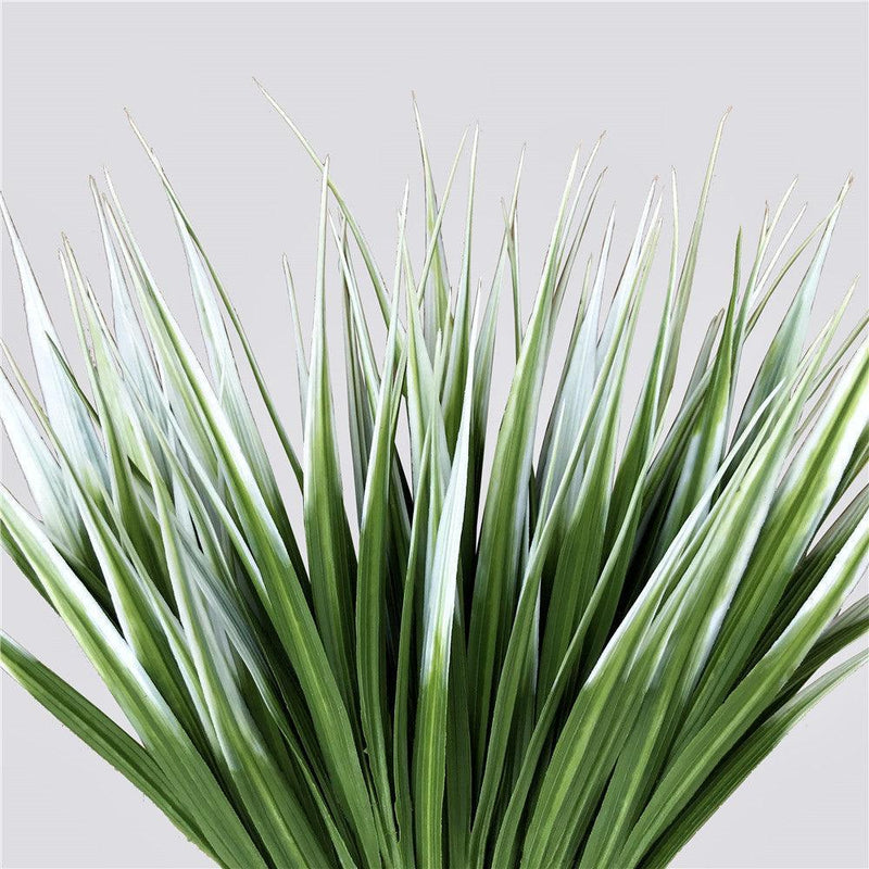 White Tipped Grass Stem UV Resistant 35cm - John Cootes