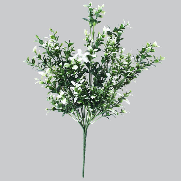 White Tipped Money Leaf Stem 32 cm - John Cootes
